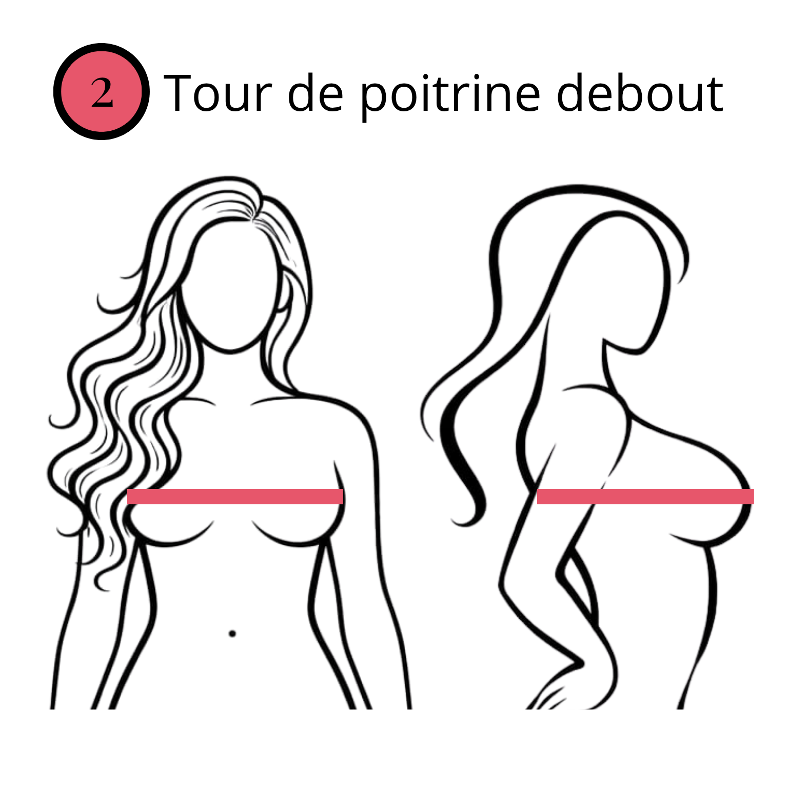 Schéma du tour de poitrine debout