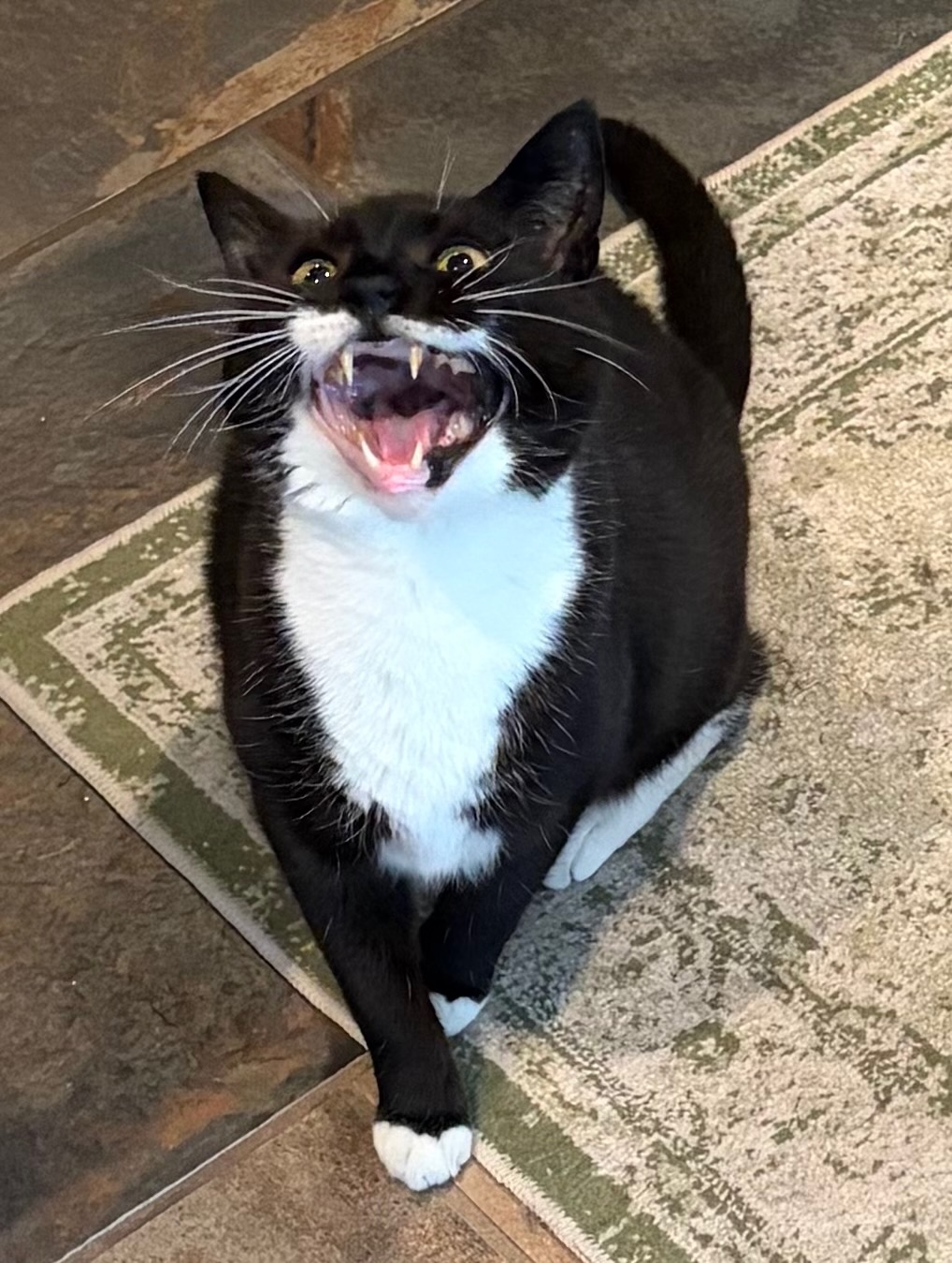 The Saga of Ink the Hostile