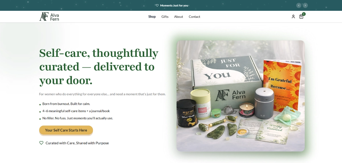 Alva Fern portfolio preview