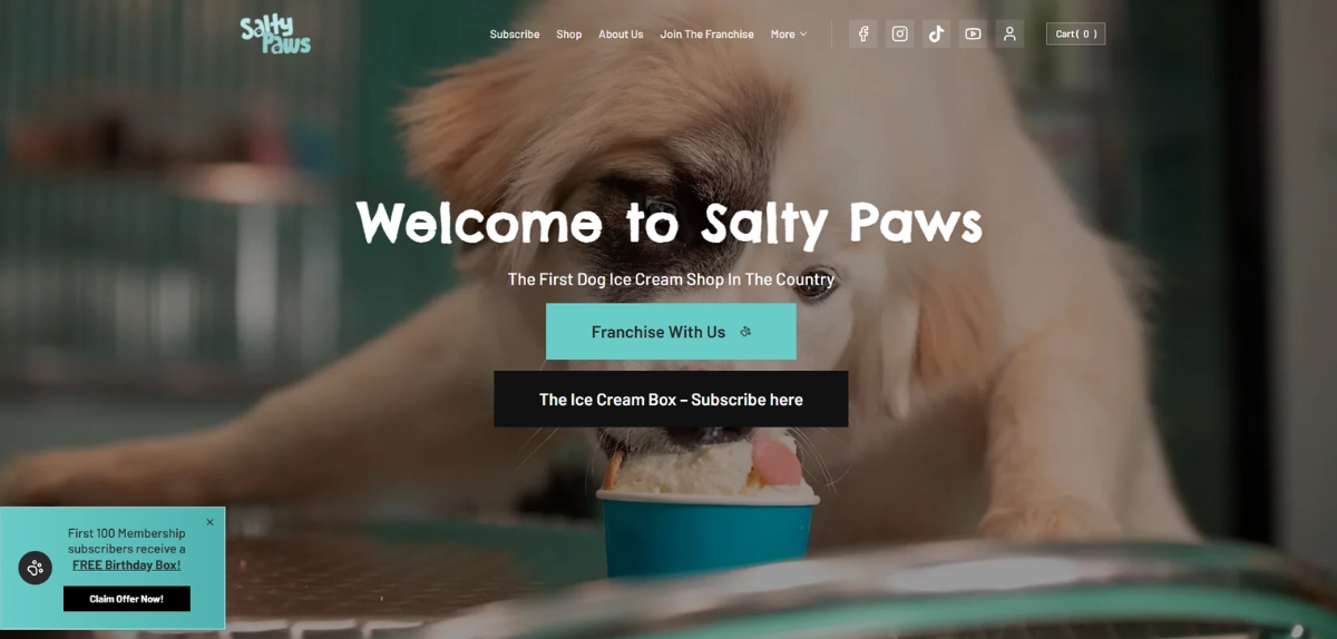 Salty Paws