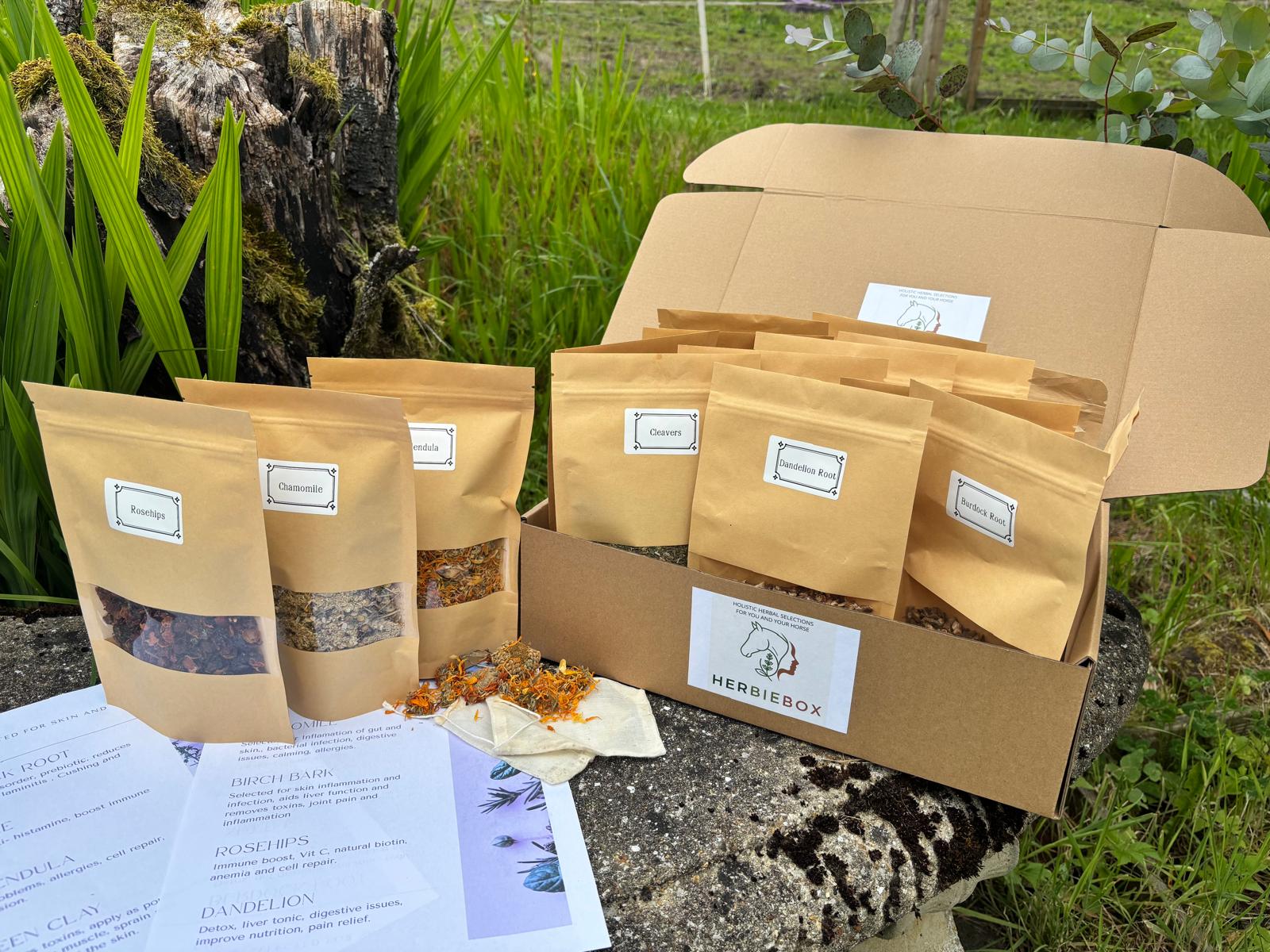 The Water Buffet Box filled with labelled herbs and educational materials