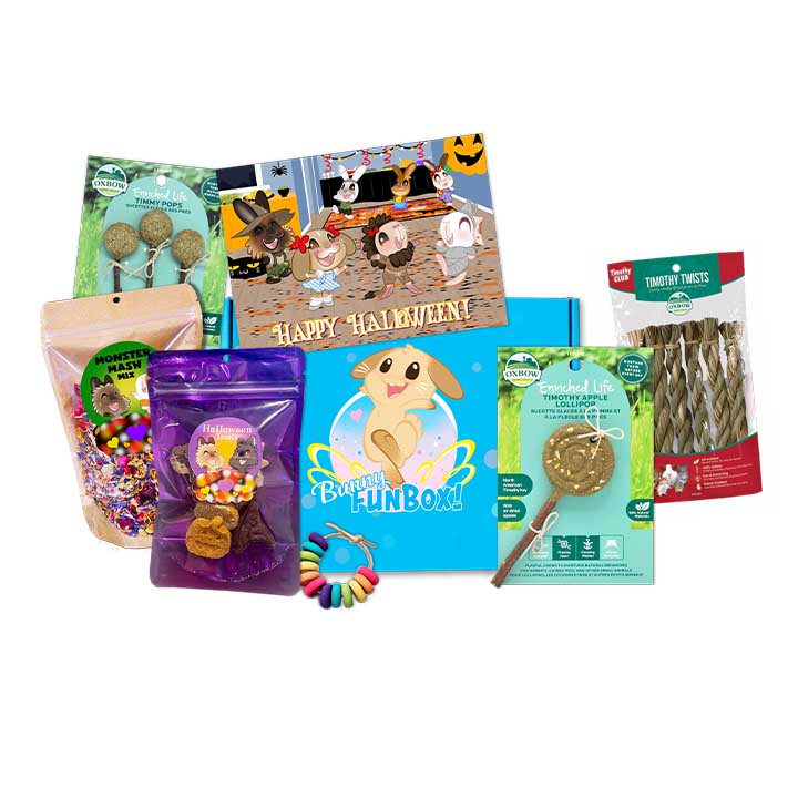 Halloween For Bunnies Only Box