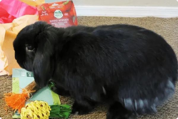 Ruth - customer photo