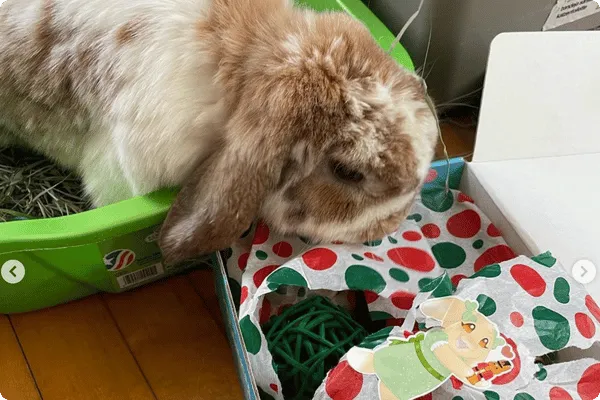 Nikki - customer photo