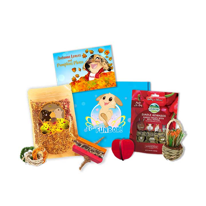 Autumn Leaves For Bunnies Only Box