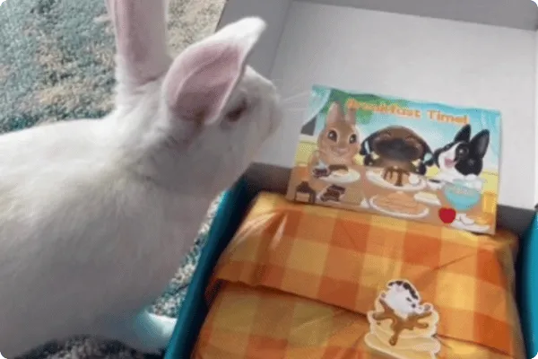 Andrea - customer photo