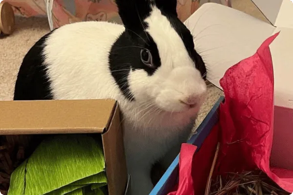 Ashley - customer photo