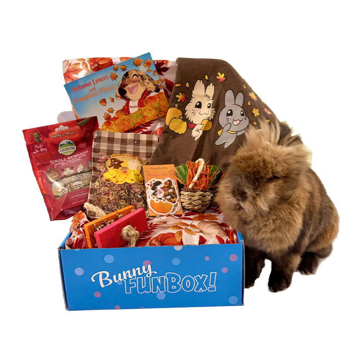 Open Bunny FunBox autumn leaves box with rabbit