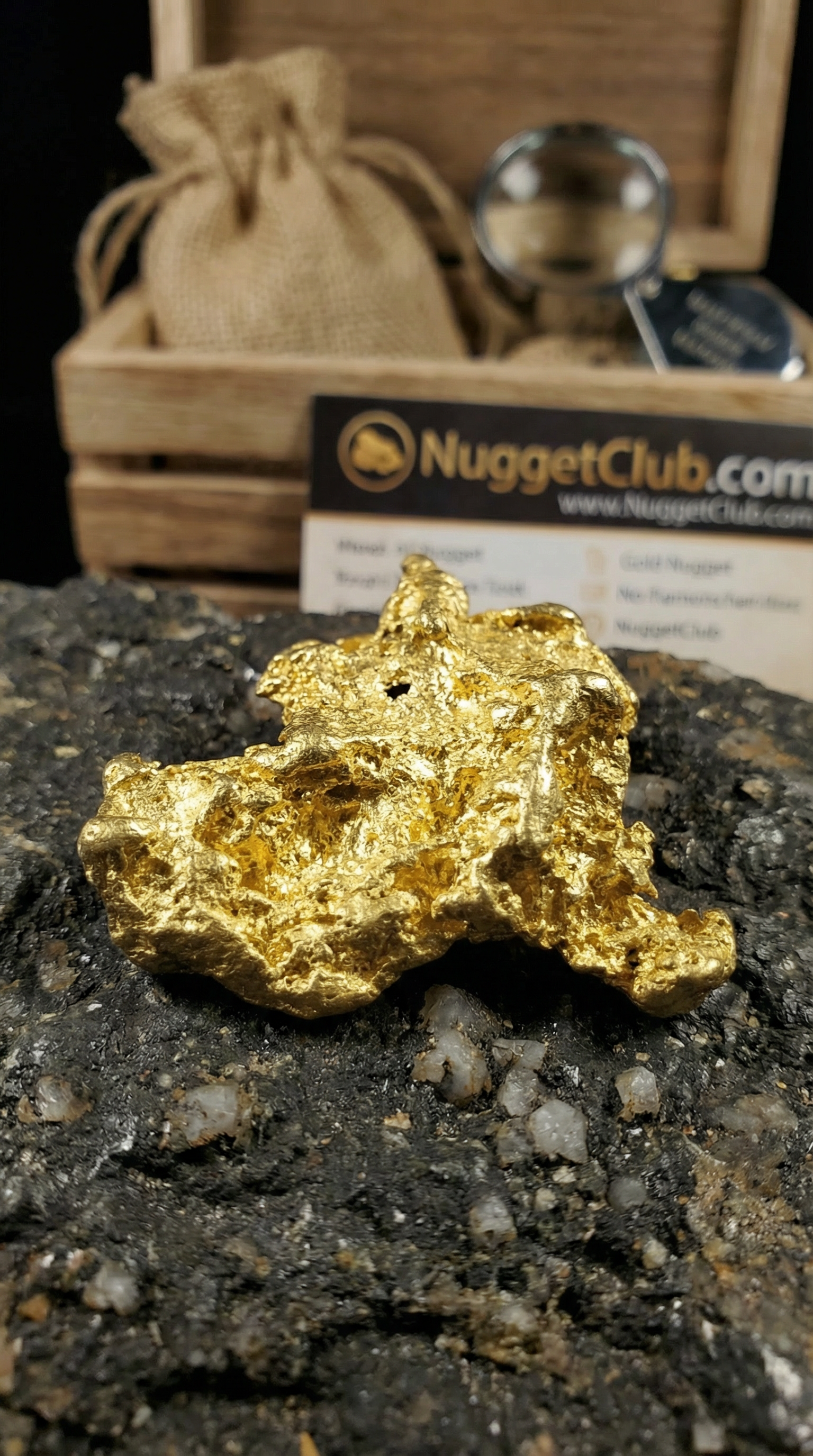 Gold nugget with NuggetClub branded box and authentication tools