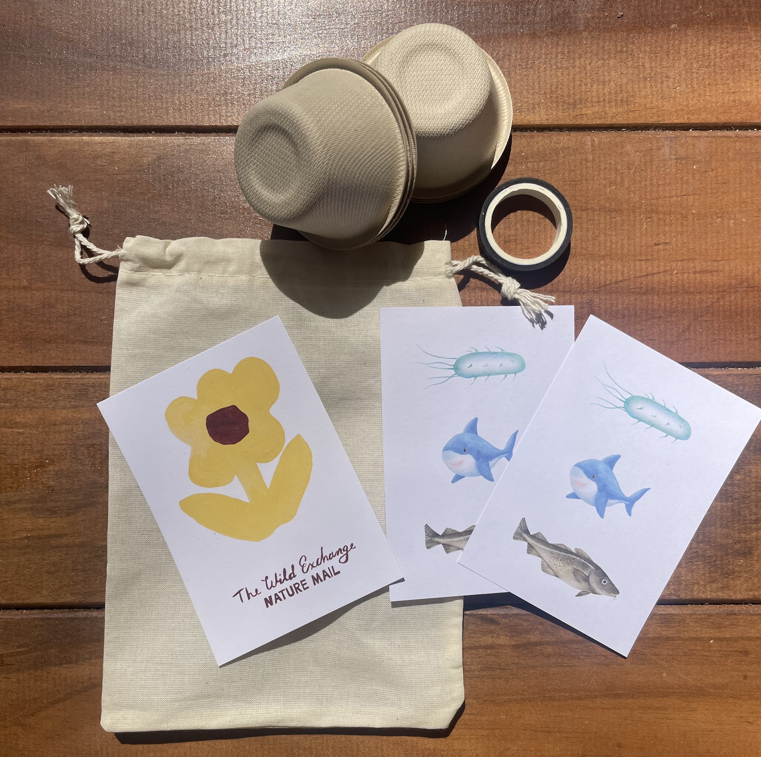 PLANKTON, FISH, SHARK > BITE - Image 1