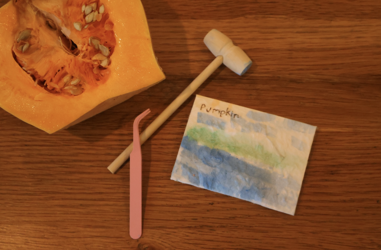 SEED SAVING - Image 1