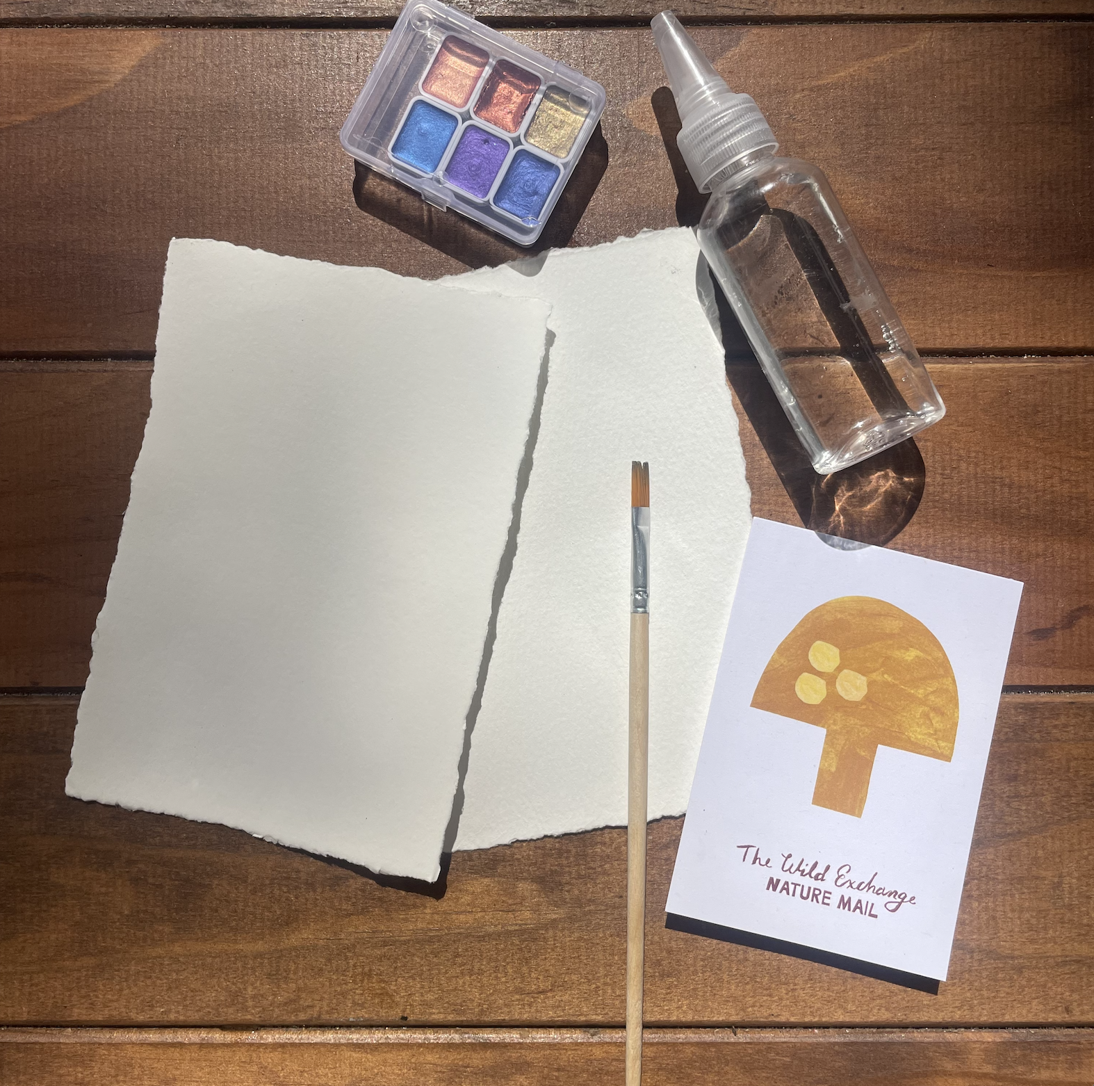 TWINKLE, TWINKLE LITTLE JELLYFISH - Image 1