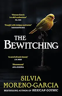 The Bewitching book cover
