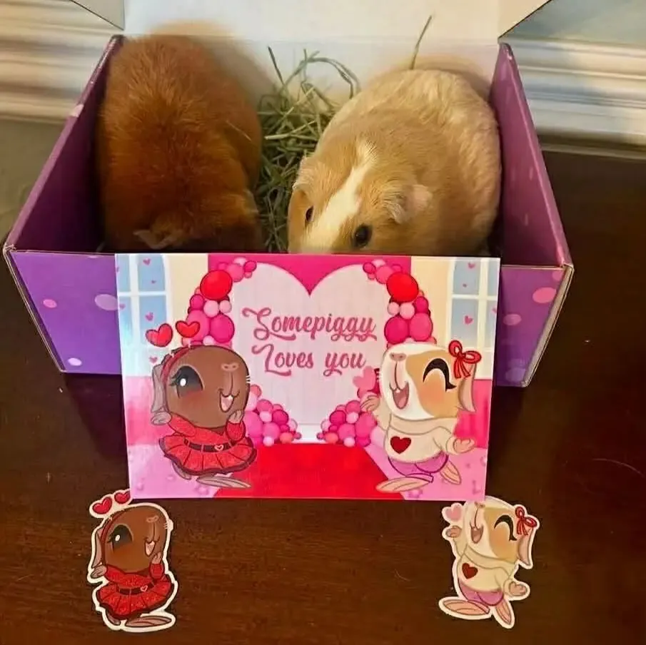 Brittany for daughter Haven Grace - customer photo