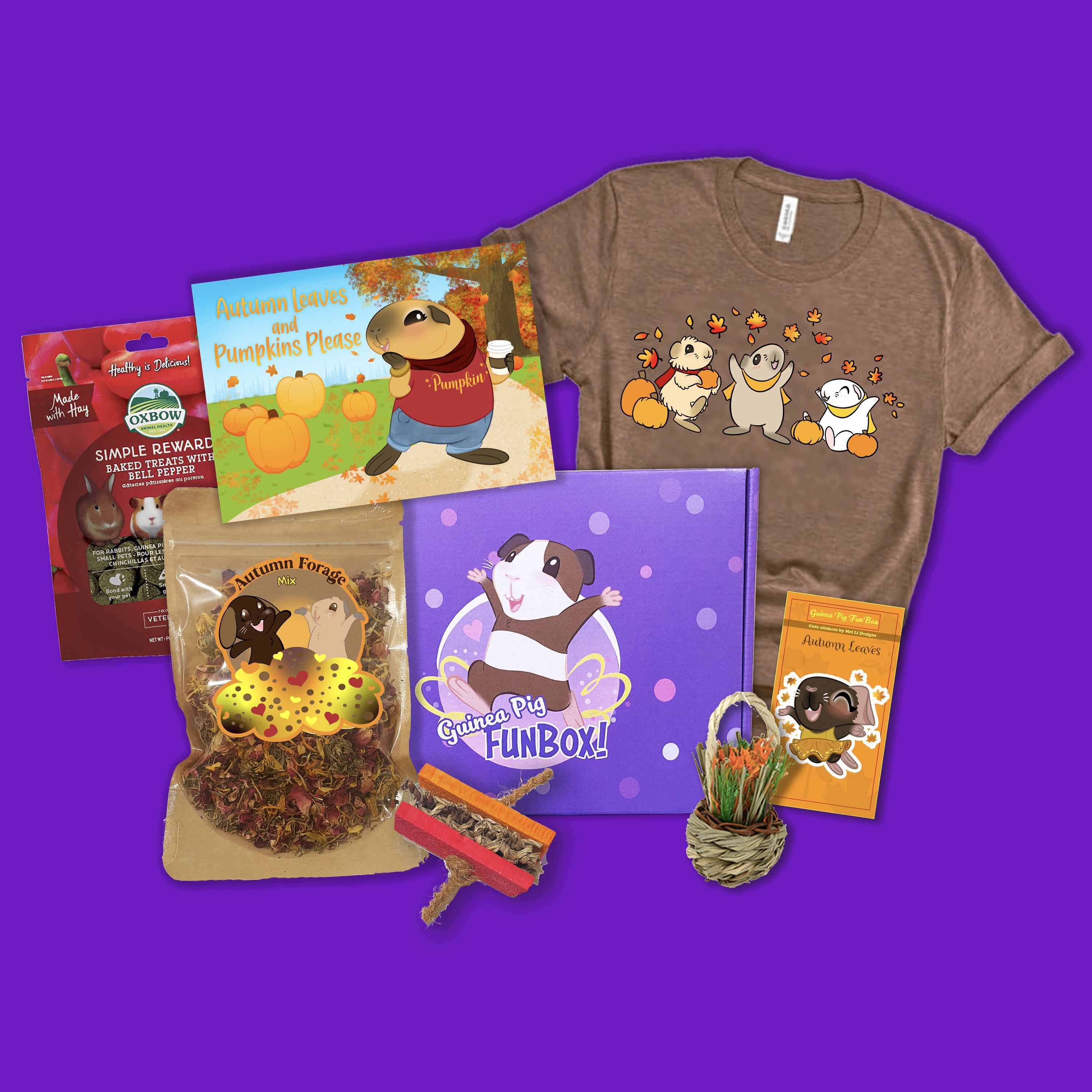 Guinea Pig FunBox and Bunny FunBox subscription box with treats and toys