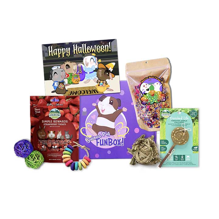Halloween For Piggies Only Box