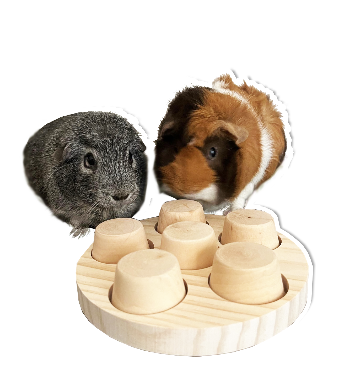 Enrichment Toys