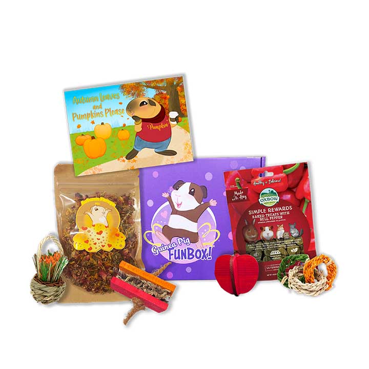 Autumn Leaves For Piggies Only Box