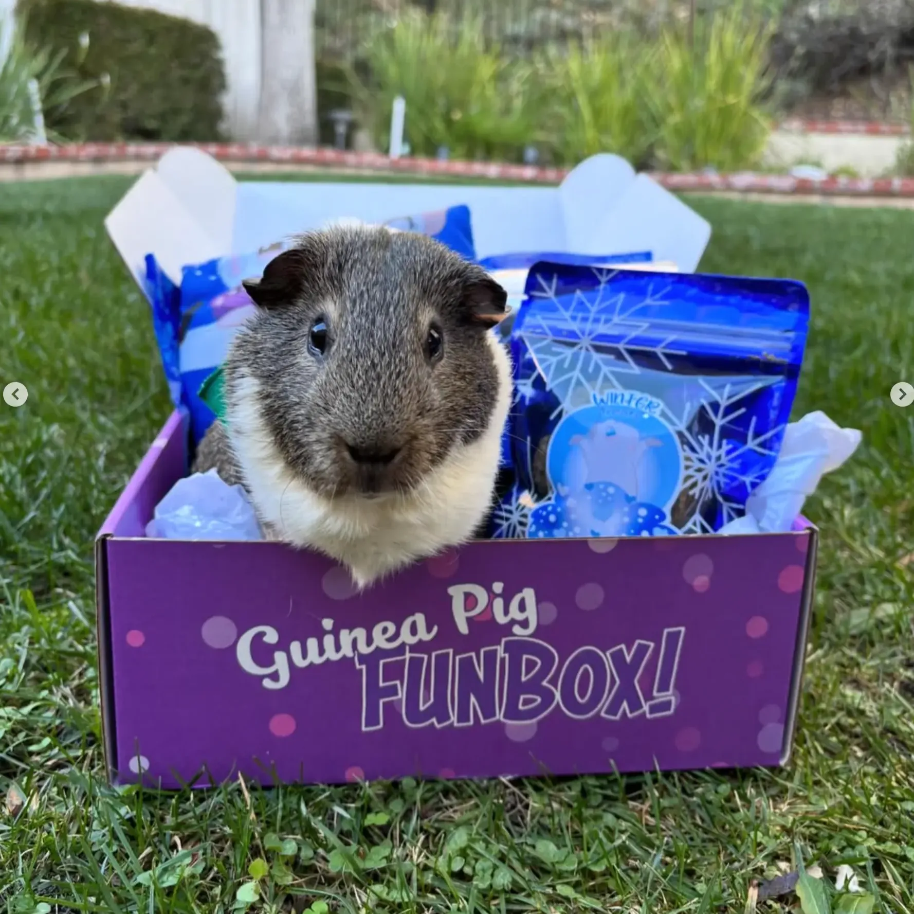 Christina - customer photo