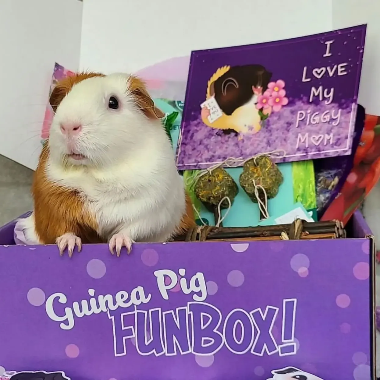 Susanne - customer photo