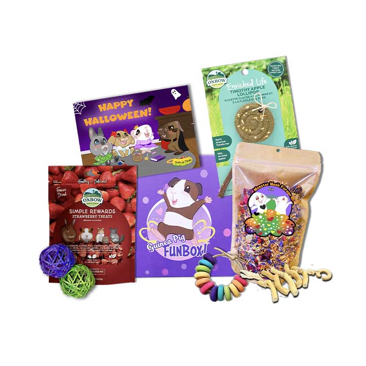 Halloween For Piggies Only Box