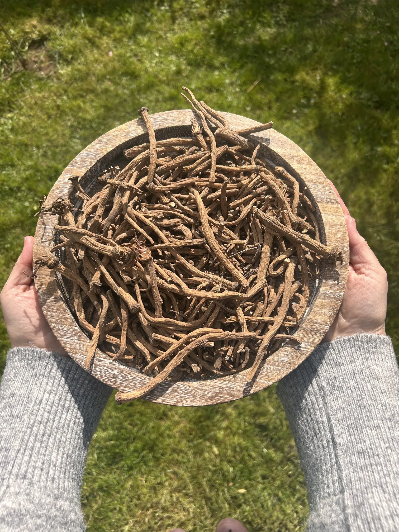 Roots