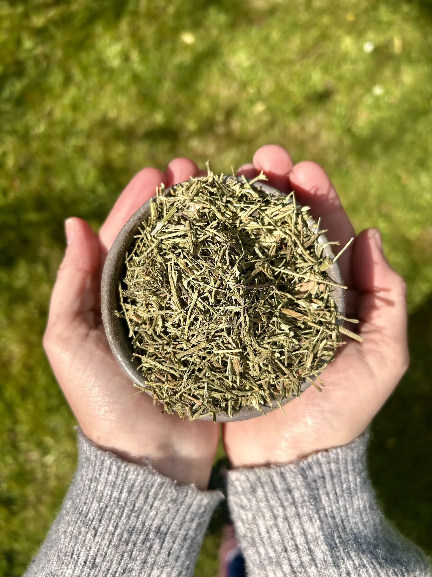Herbs