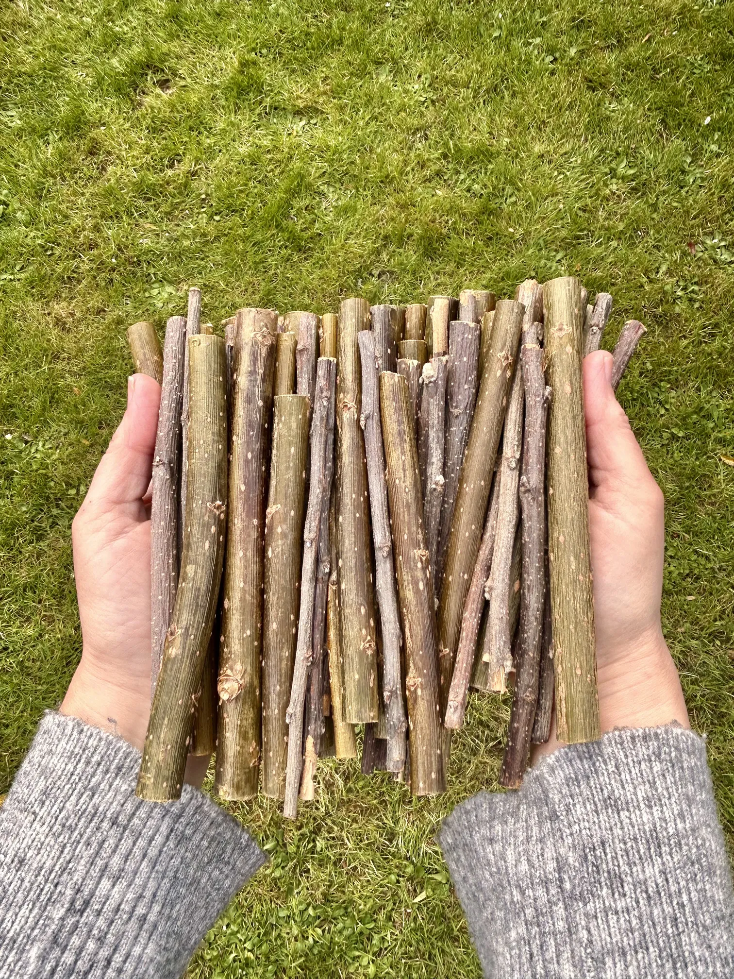 Twigs