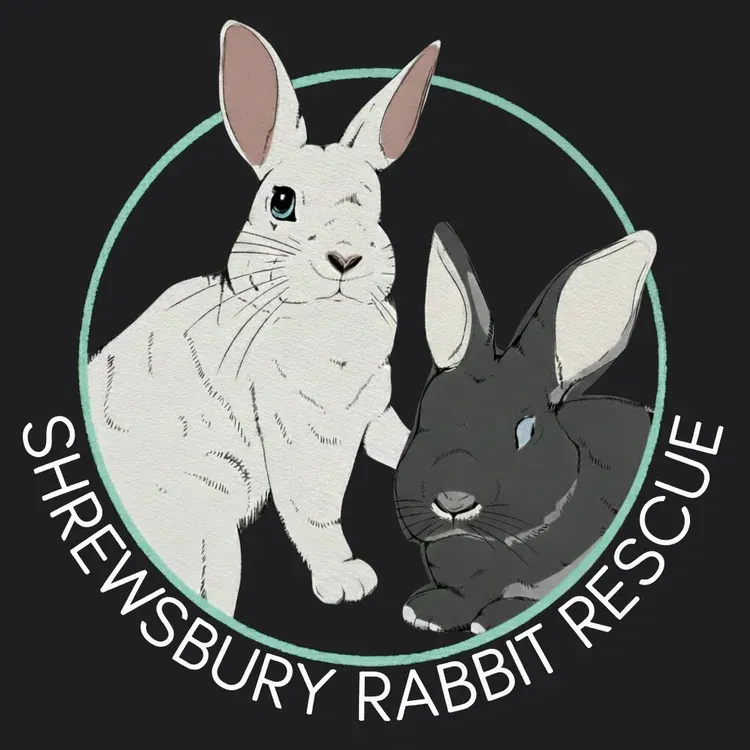 Shrewsbury Rescue logo