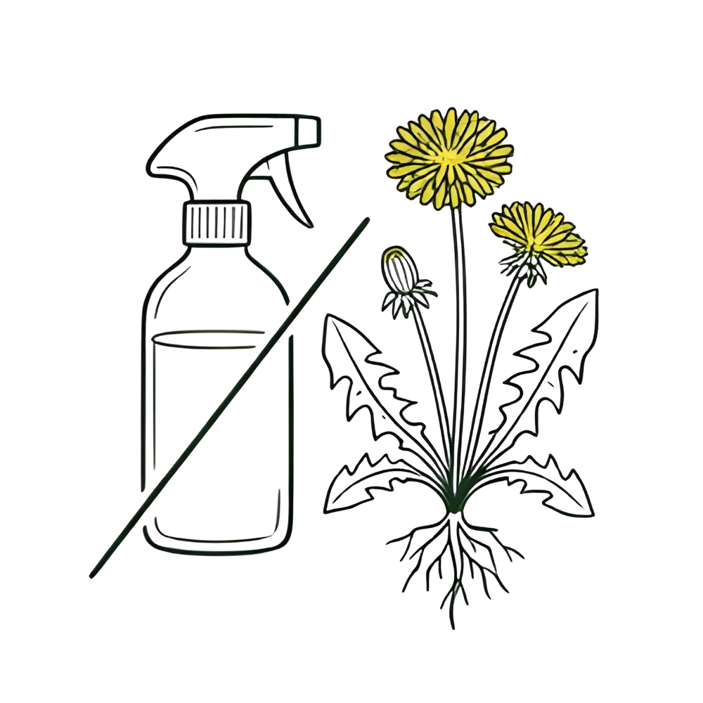 No chemicals