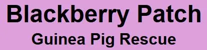 Blackberry Patch Rescue logo