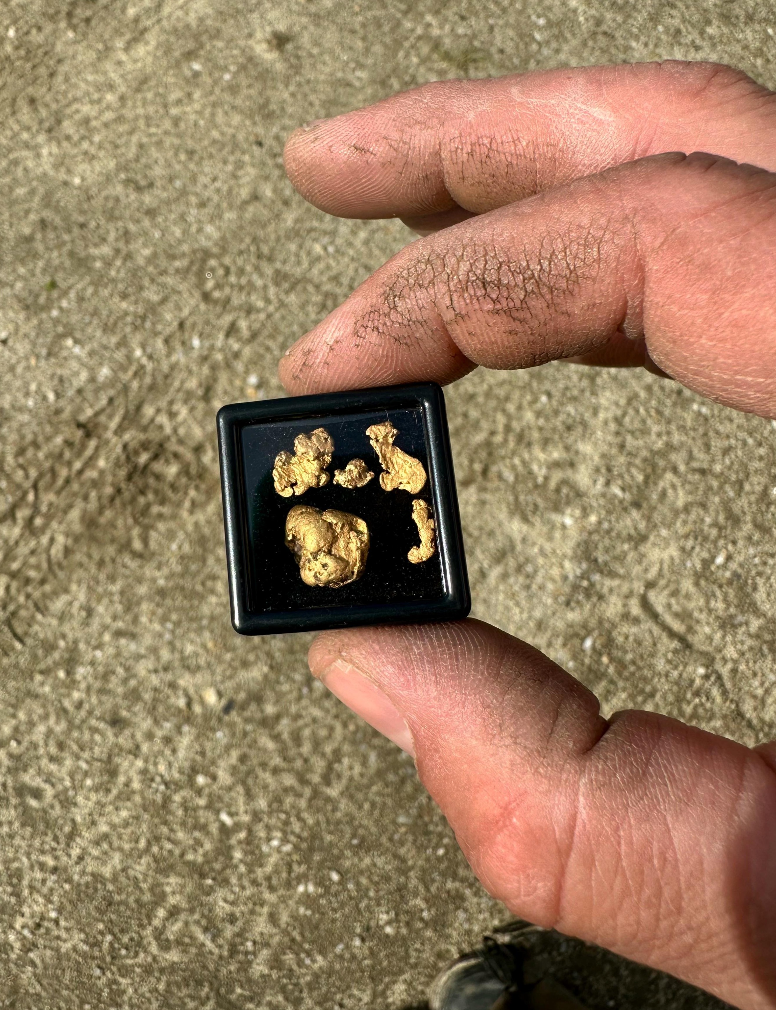 Raw Klondike gold in presentation box