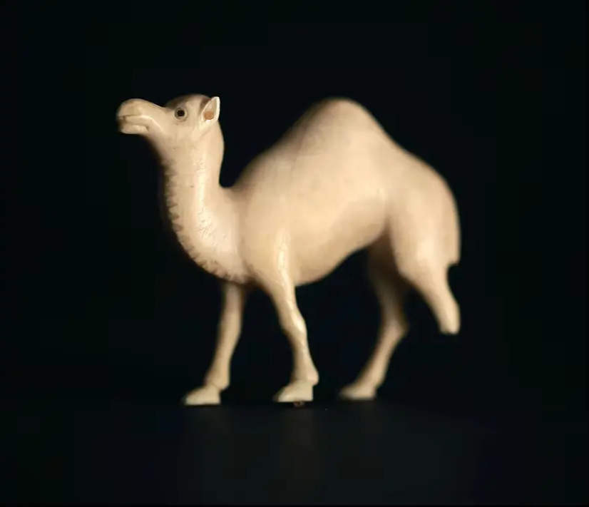 Office of Collecting & Design