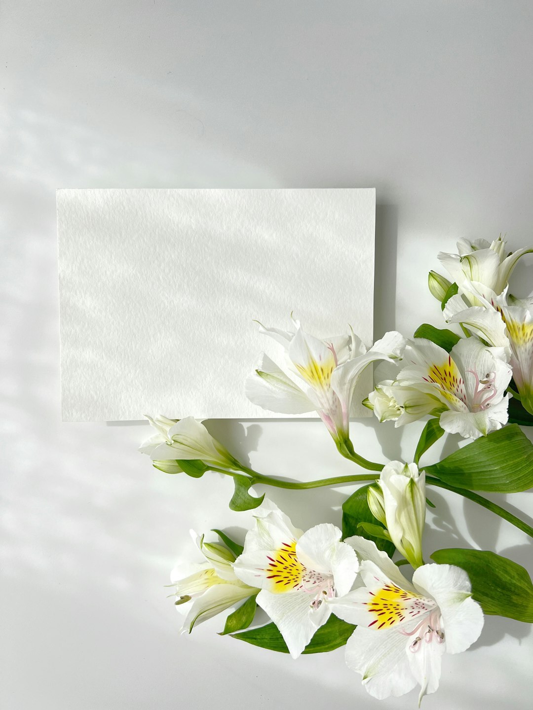 Hand-signed sympathy card laid in soft natural light — part of a monthly grief card subscription