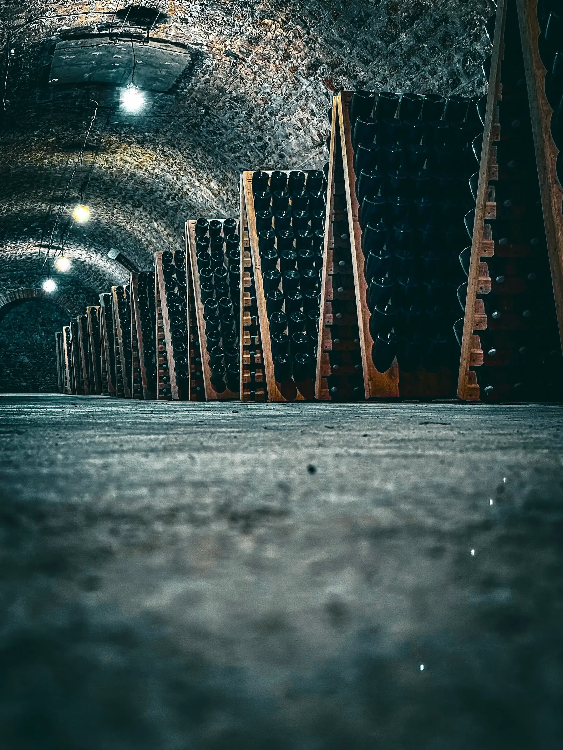 Elegant champagne tasting setup