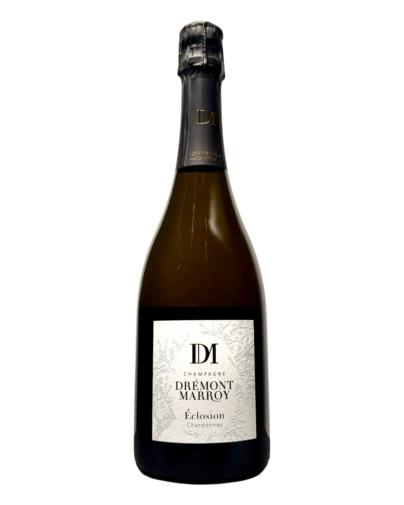 Dremont Marroy, Éclosion