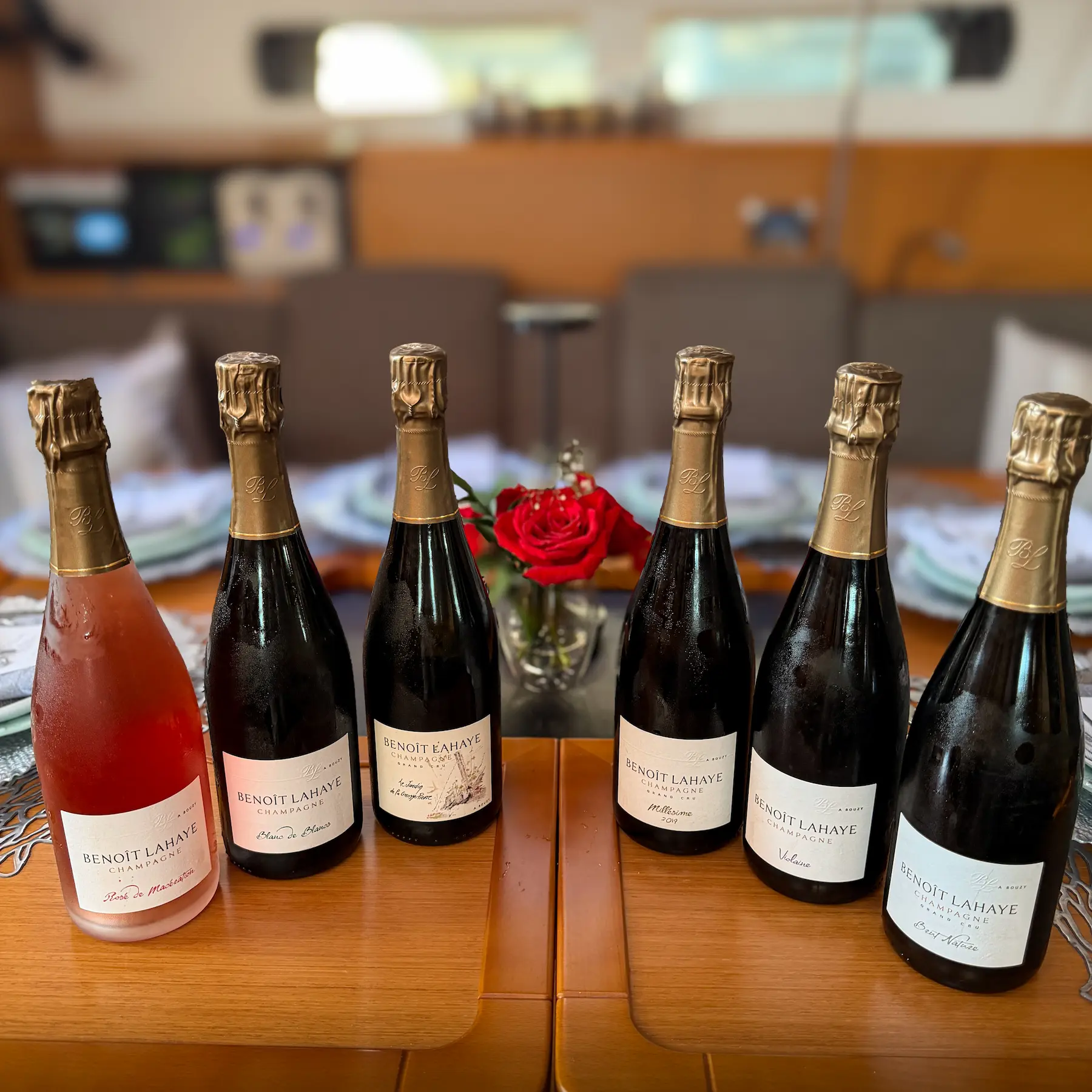 Friends toasting with sparkling wine