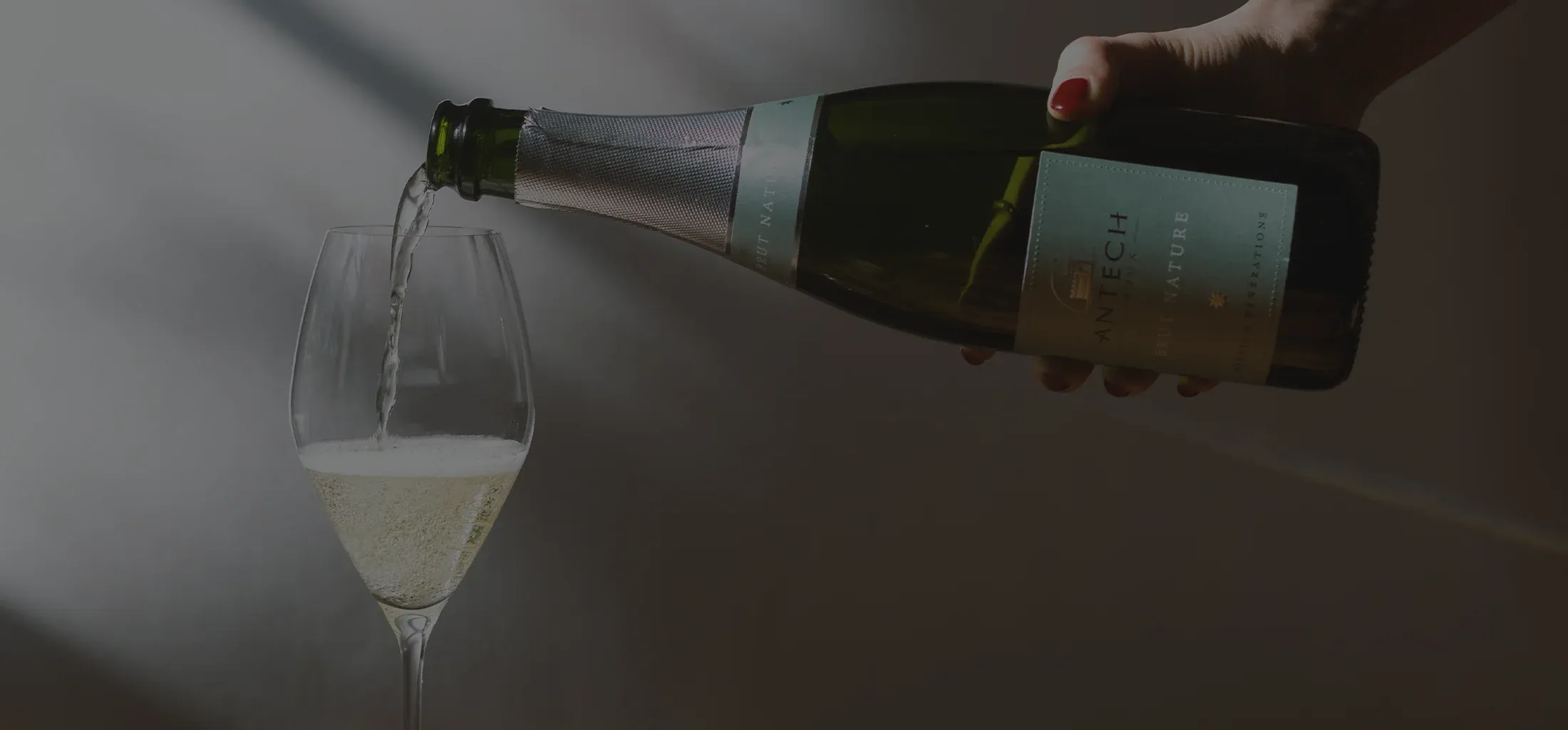 Sparkle-ist champagne collection