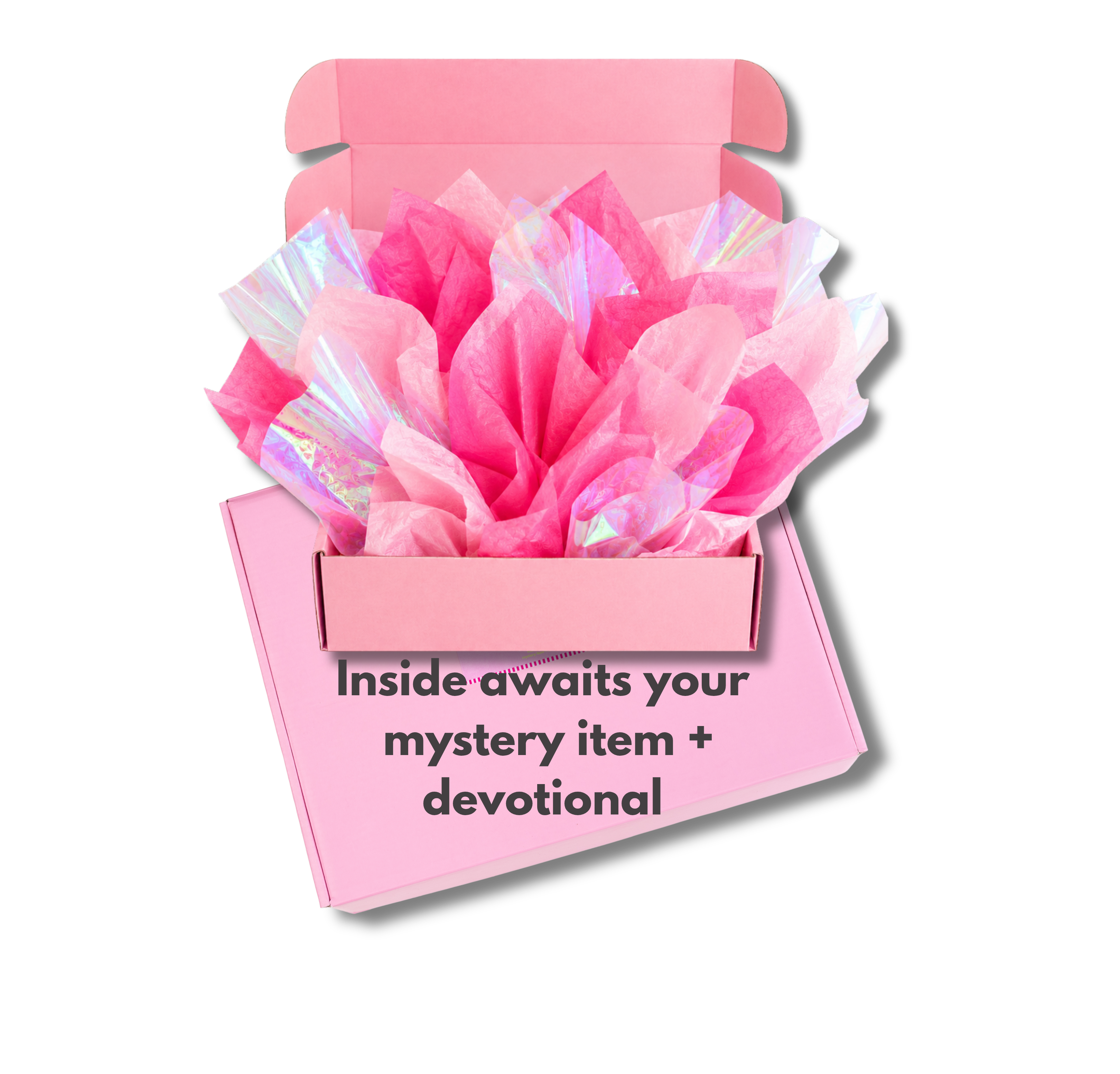 Bible Study Box