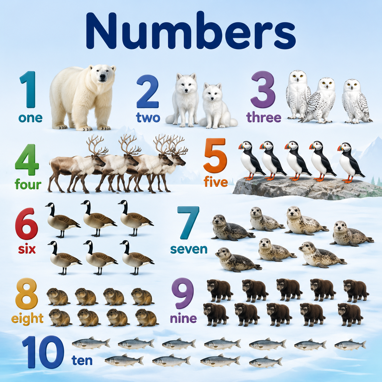 Numbers